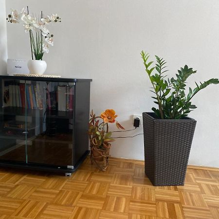 Apartment Miana Trogir Extérieur photo
